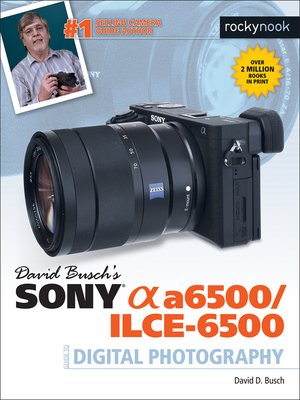 cover image of David Busch's Sony Alpha a6500/ILCE-6500 Guide to Digital Photography